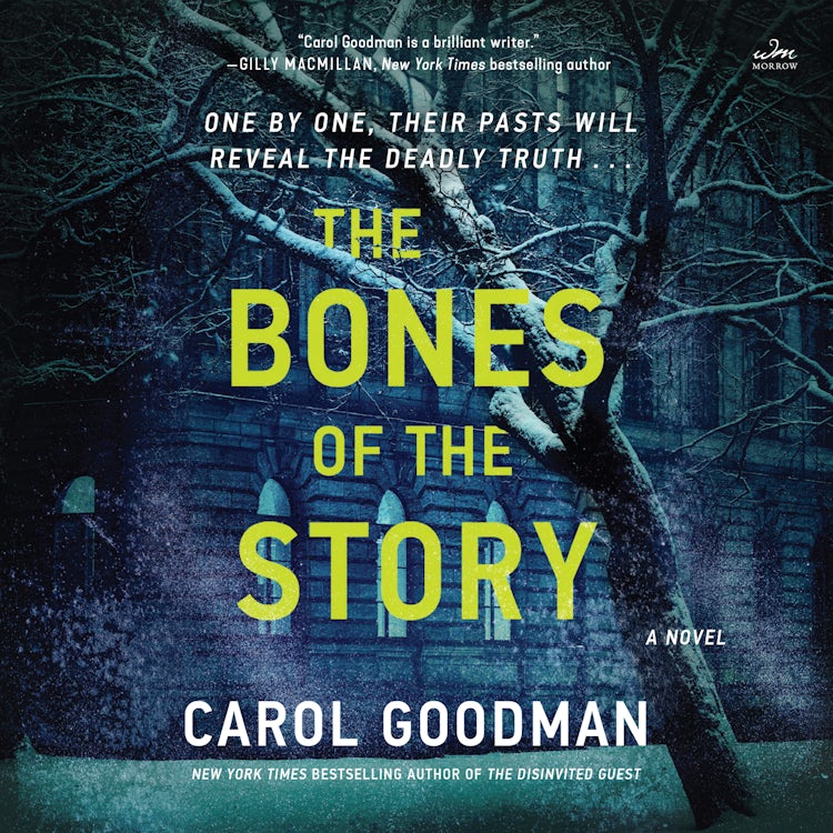 Cover image for The Bones of the Story, isbn: 9780063265271
