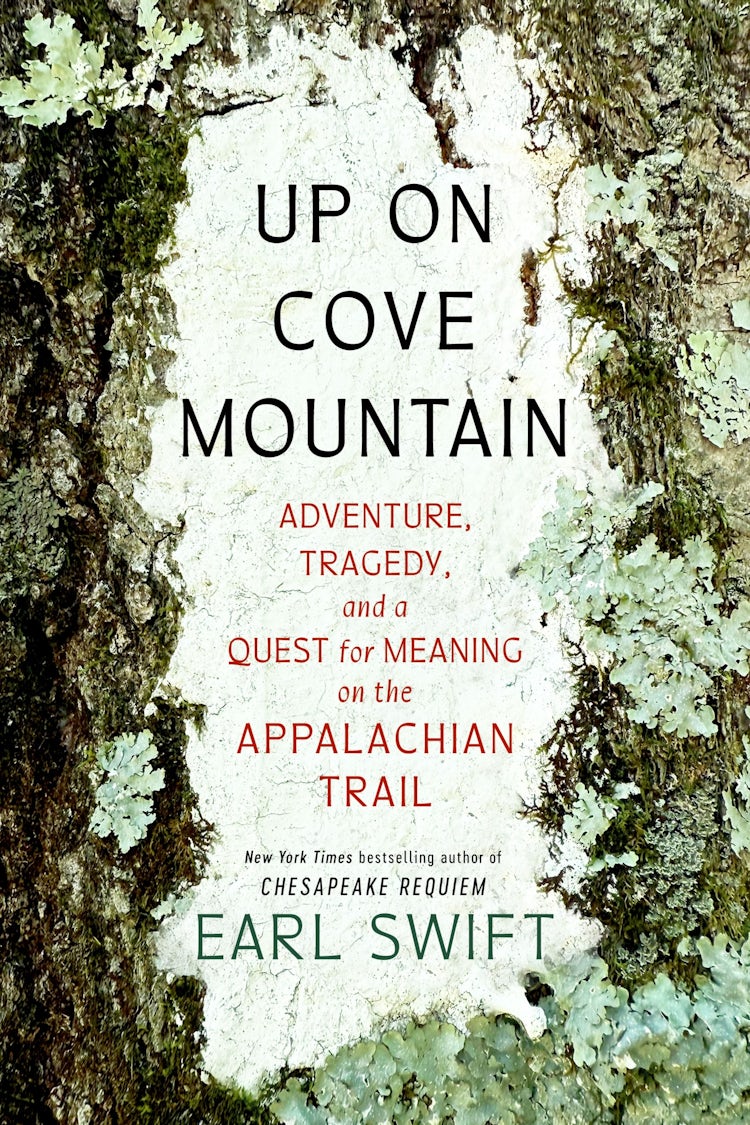 Cover image for Up On Cove Mountain, isbn: 9780063265431