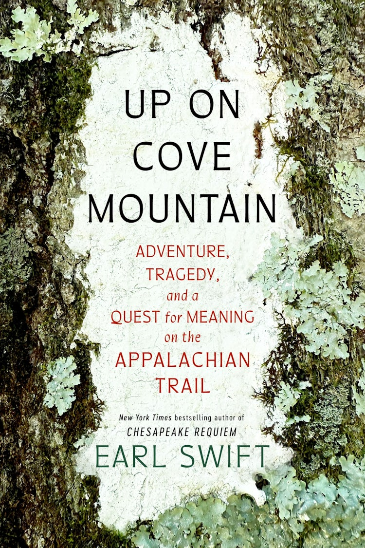 Cover image for Up on Cove Mountain, isbn: 9780063265455