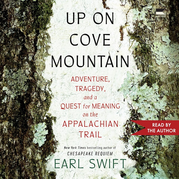 Cover image for Up on Cove Mountain, isbn: 9780063265462