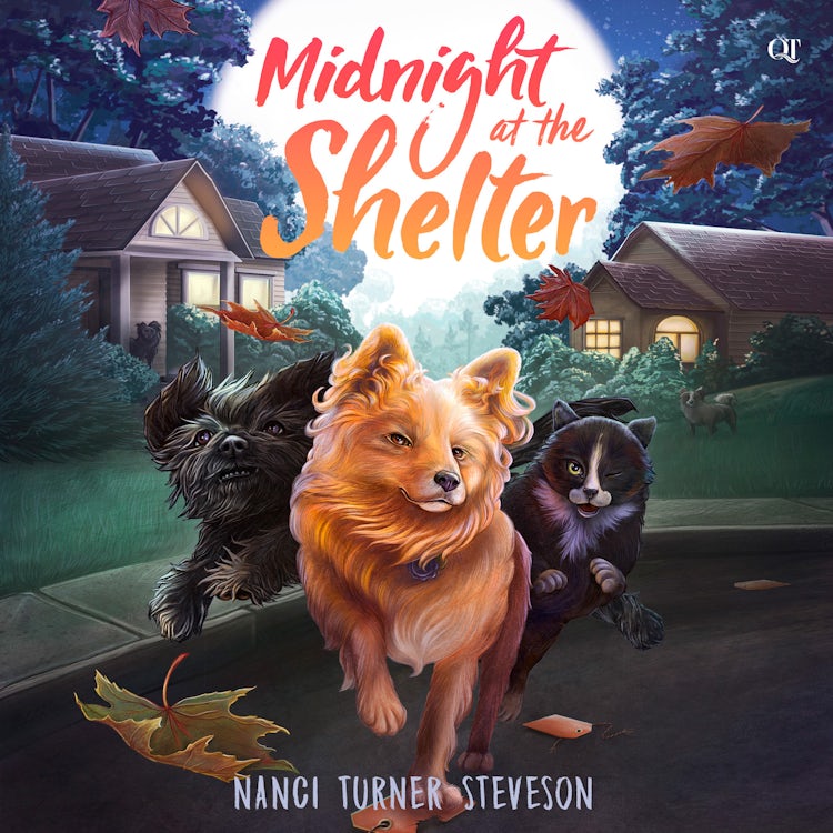 Cover image for Midnight at the Shelter, isbn: 9780063266889