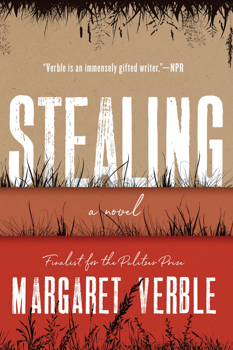 Cover image for Stealing: A Novel, isbn: 9780063267053