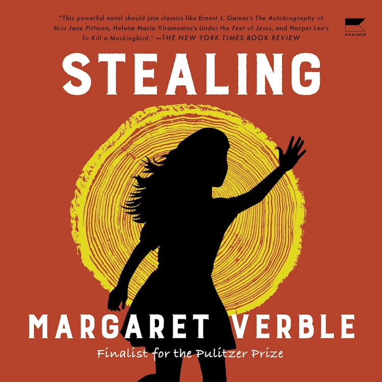 Cover image for Stealing, isbn: 9780063267077