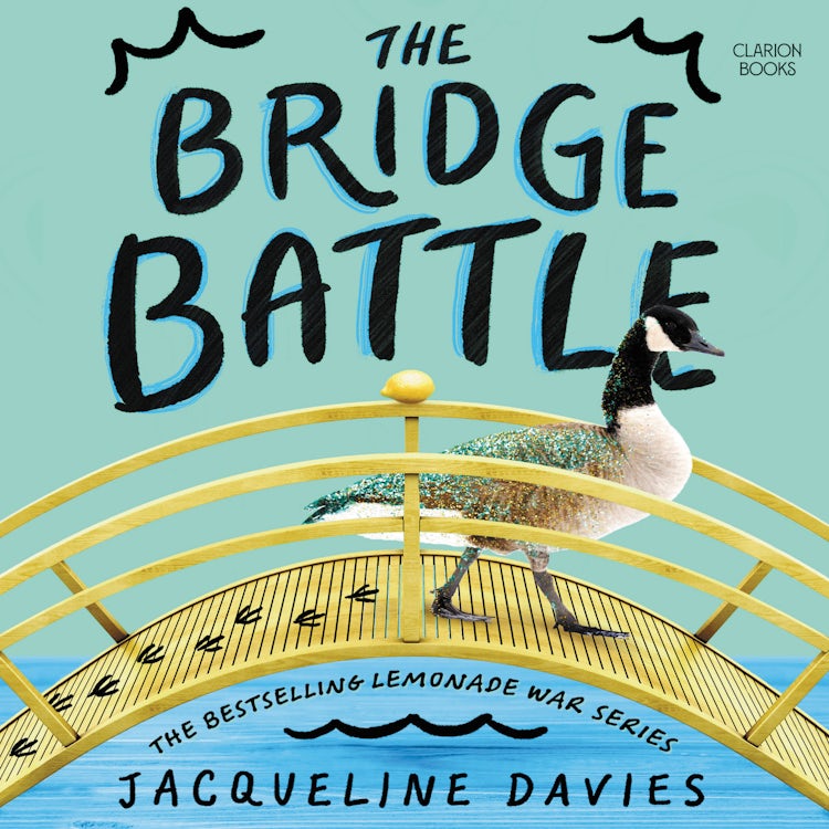 Cover image for The Bridge Battle, isbn: 9780063269989