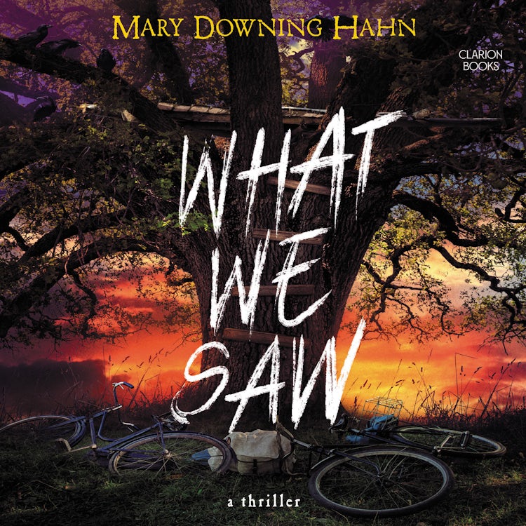 Cover image for What We Saw, isbn: 9780063270046