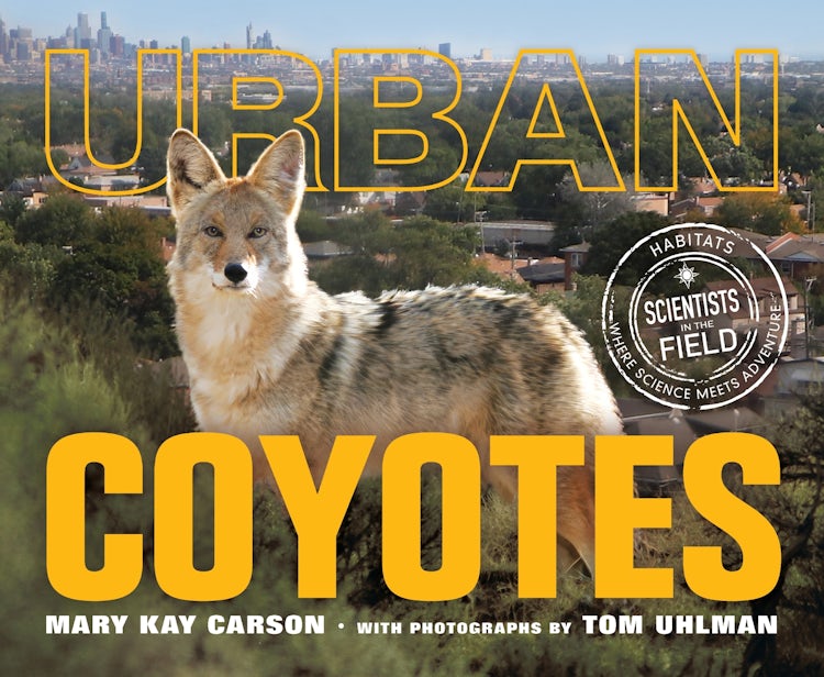 Cover image for Urban Coyotes, isbn: 9780063271494