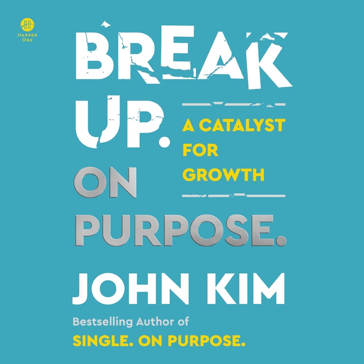 Cover image for Break Up On Purpose, isbn: 9780063275362
