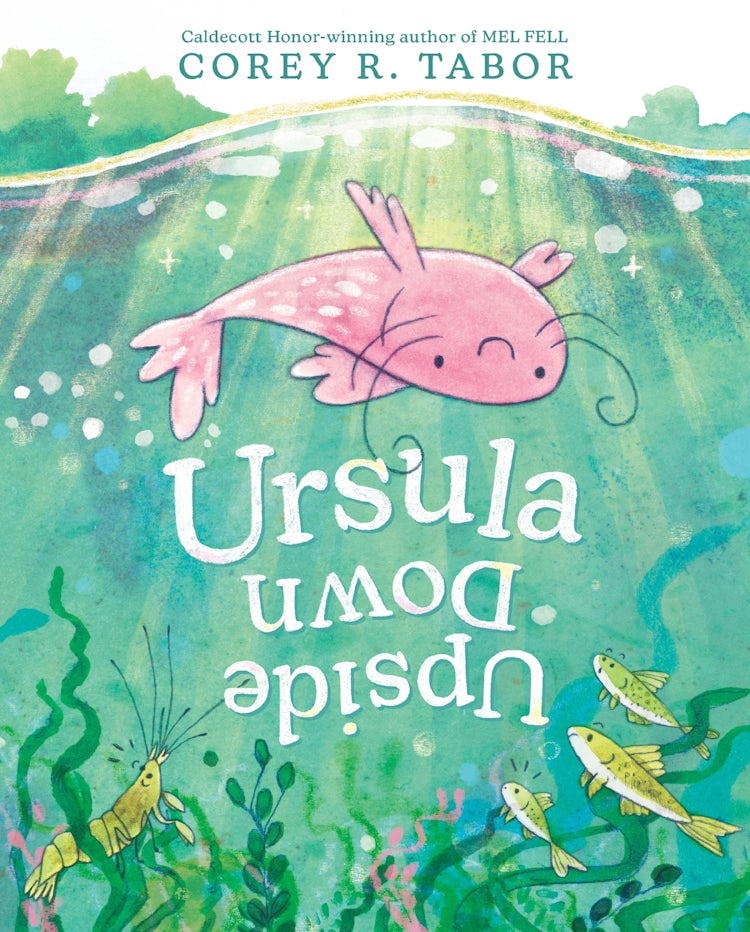 Cover image for Ursula Upside Down, isbn: 9780063275560
