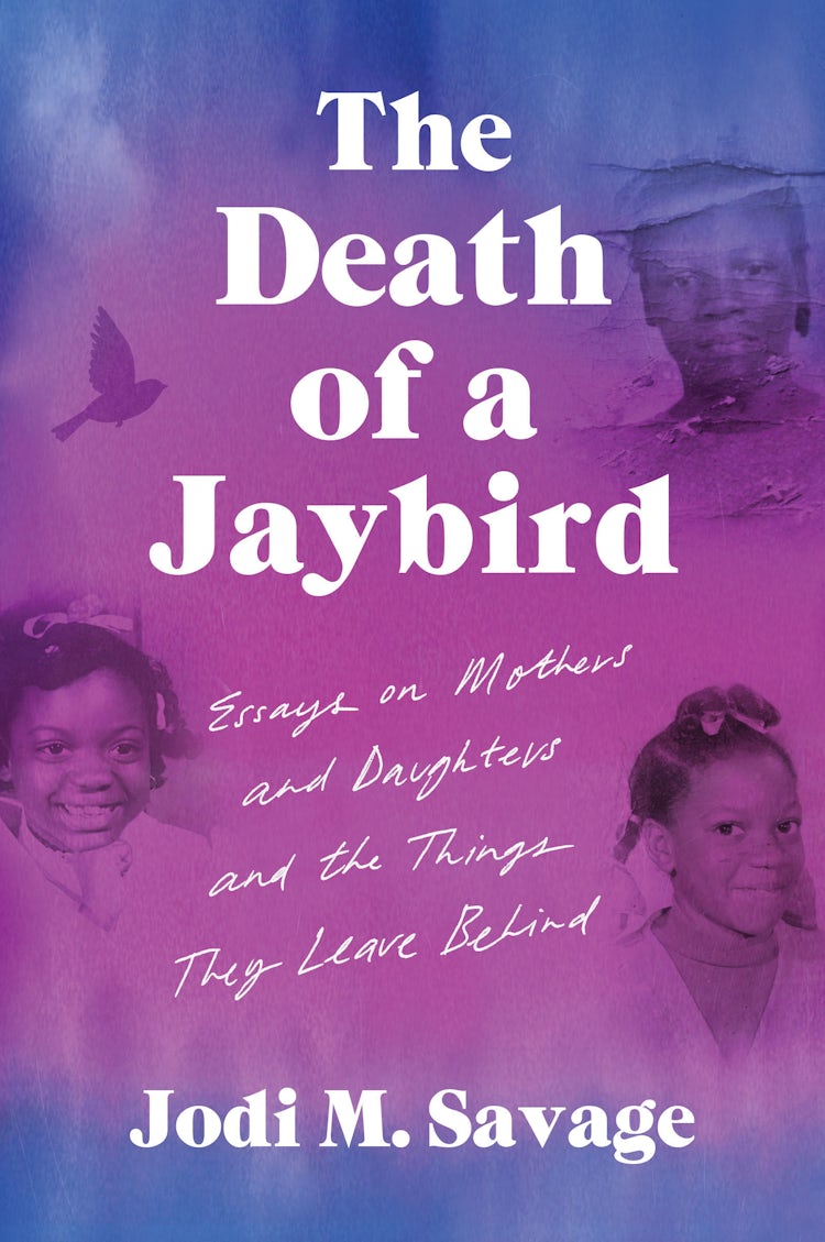 Cover image for The Death of a Jaybird, isbn: 9780063276093