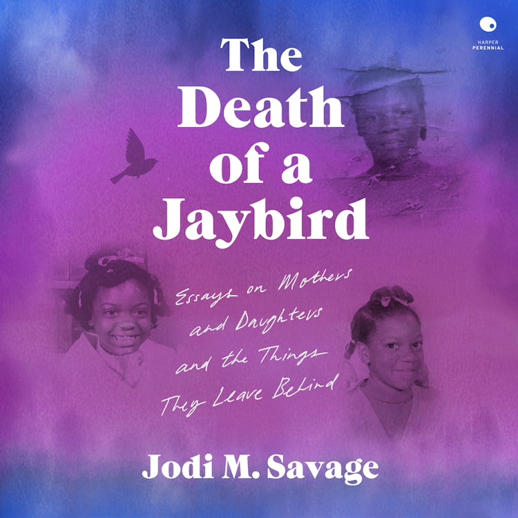 Cover image for The Death of a Jaybird, isbn: 9780063276109