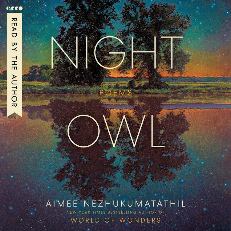 Cover image for Night Owl, isbn: 9780063282346