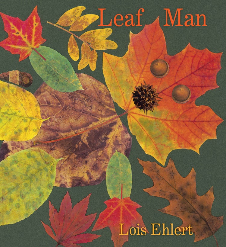 Cover image for Leaf Man, isbn: 9780063286726