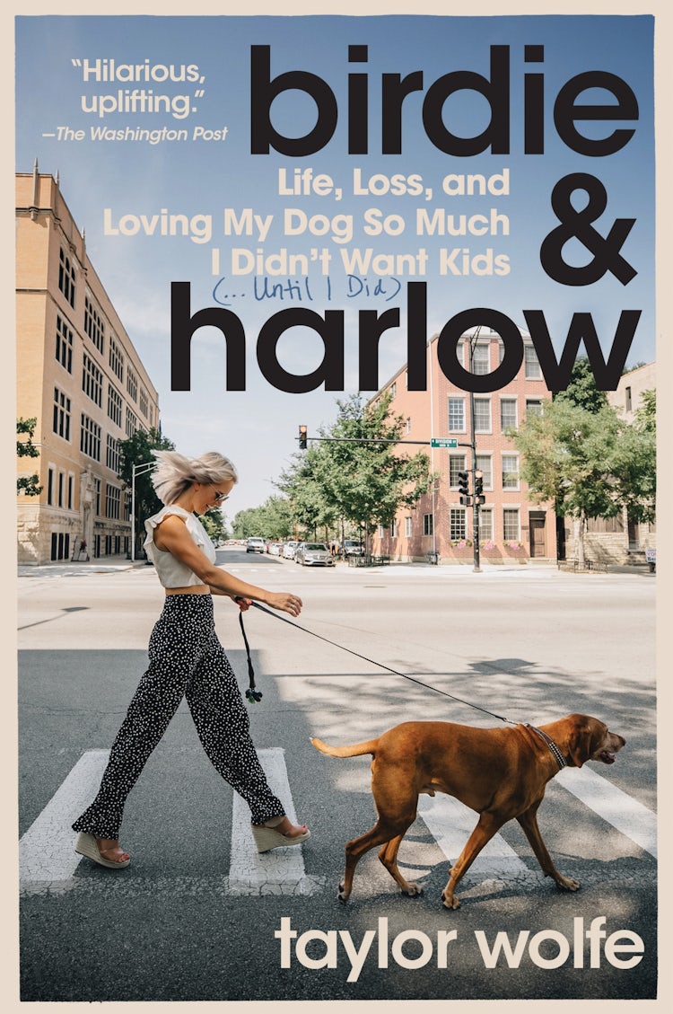 Cover image for Birdie & Harlow: Life, Loss, And Loving My Dog So Much I Didn't Want Kids (...until I Did), isbn: 9780063293823