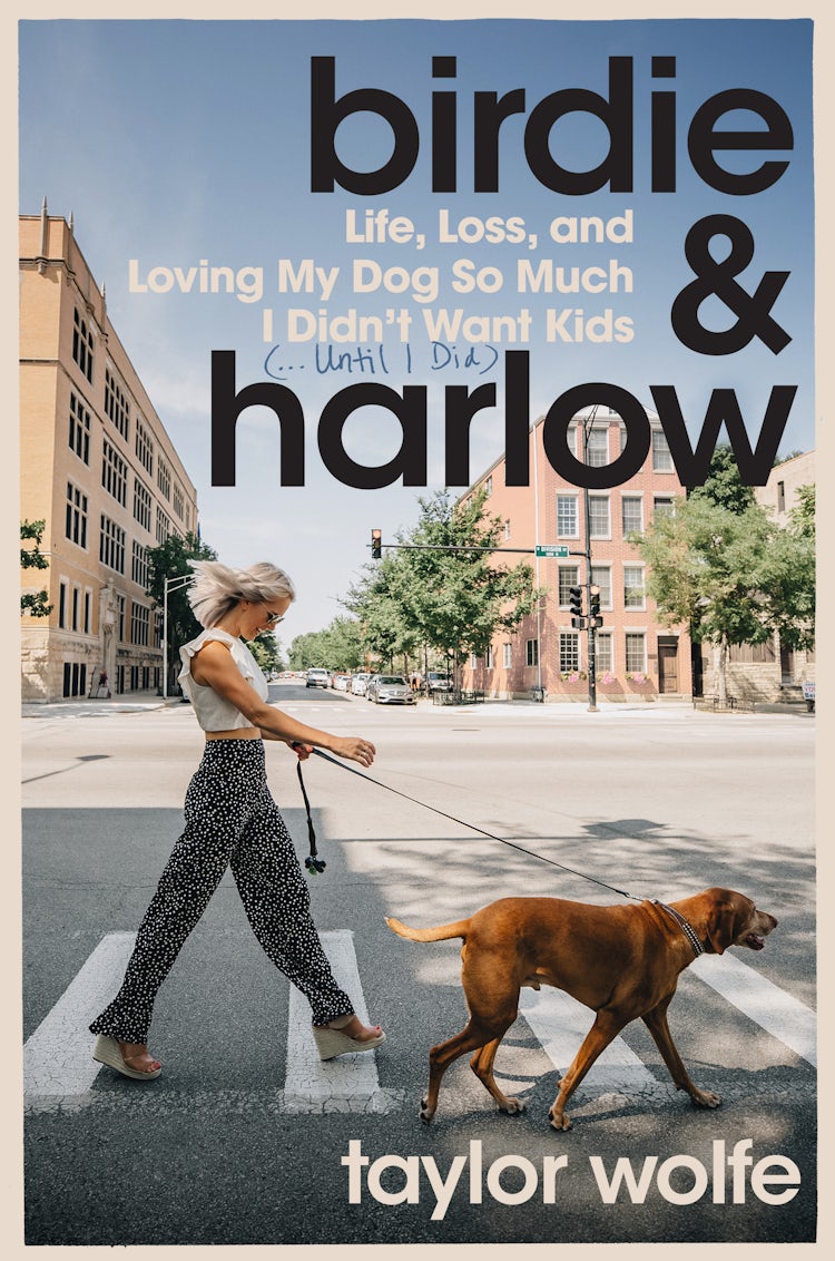 Cover image for Birdie & Harlow, isbn: 9780063293830