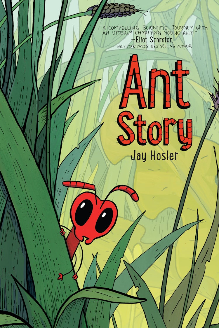 Cover image for Ant Story, isbn: 9780063293991