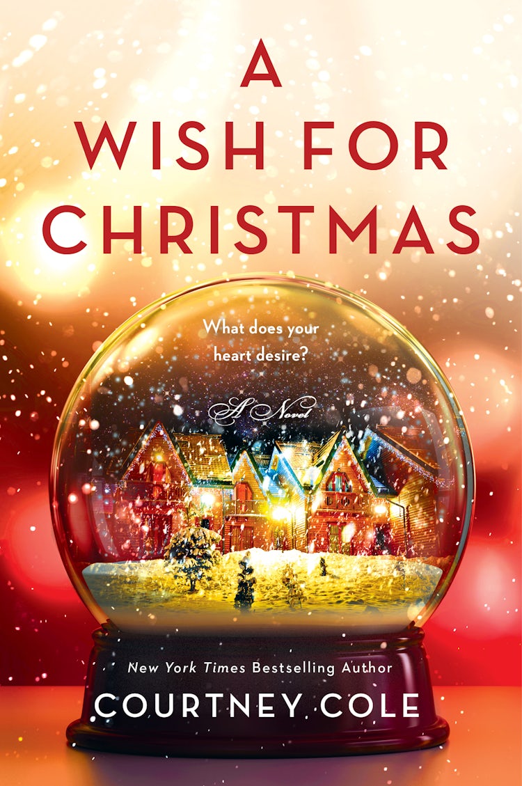 Cover image for A Wish for Christmas, isbn: 9780063296404