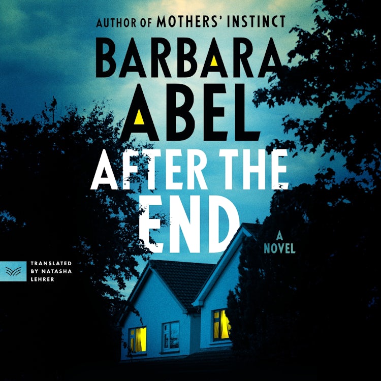 Cover image for After the End, isbn: 9780063306370