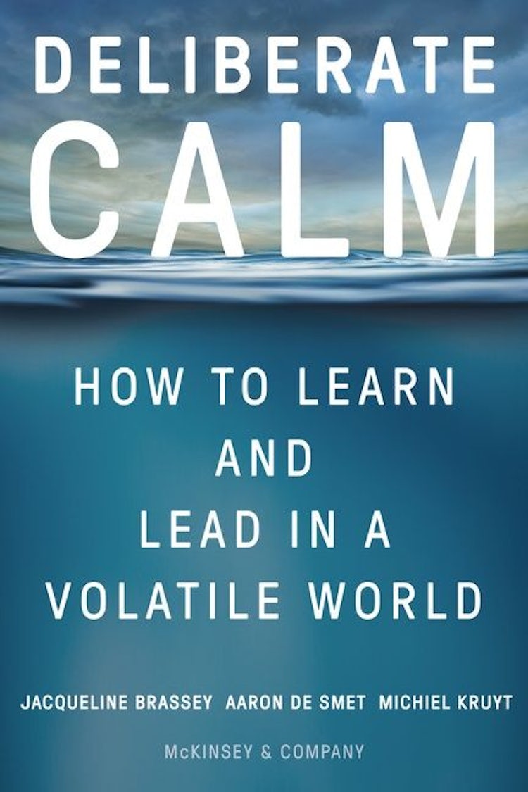 Cover image for Deliberate Calm: How to Learn and Lead in a Volatile World, isbn: 9780063307643