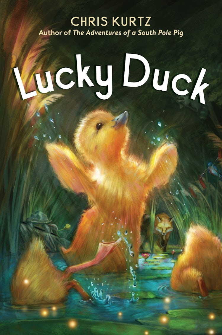 Cover image for Lucky Duck, isbn: 9780063311367
