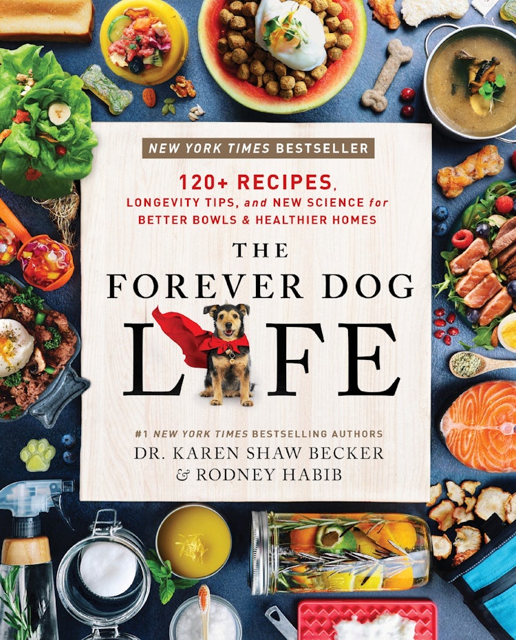 Cover image for The Forever Dog Life: 120+ Recipes, Longevity Tips, And New Science For Better Bowls And Healthier Homes, isbn: 9780063314009