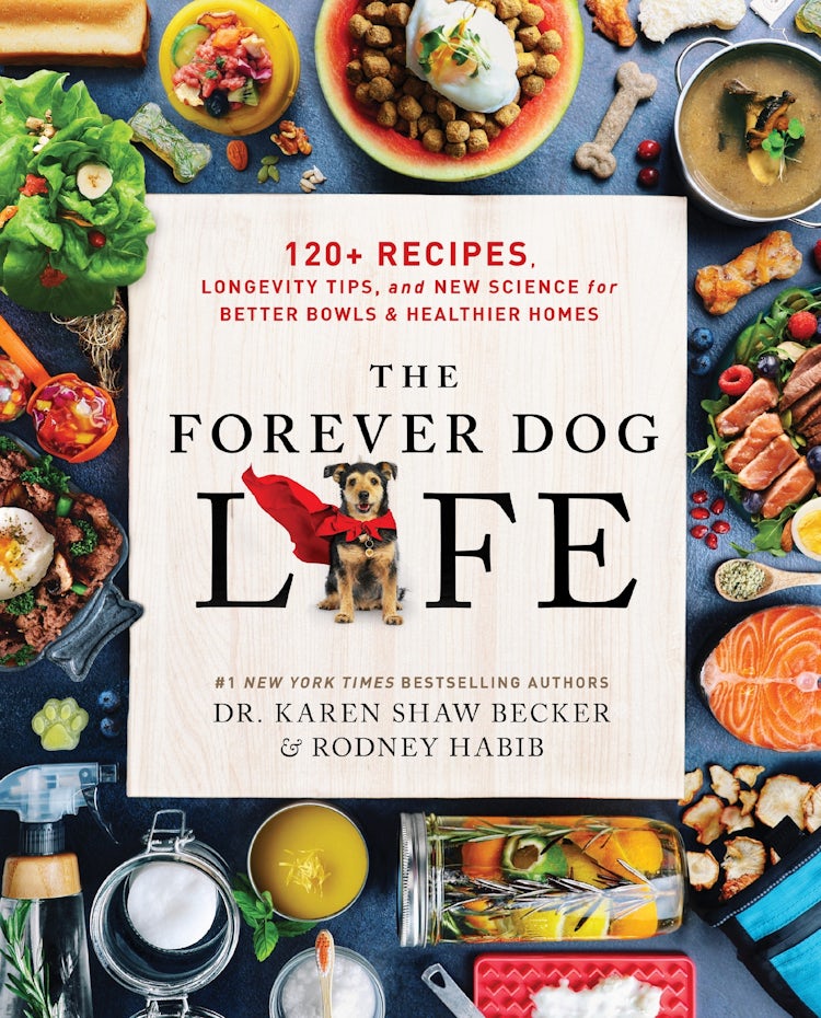Cover image for The Forever Dog Life, isbn: 9780063314016