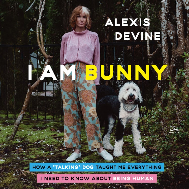 Cover image for I Am Bunny, isbn: 9780063314757