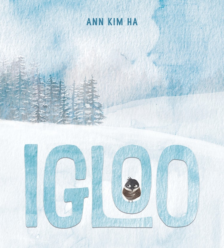 Cover image for Igloo, isbn: 9780063315488