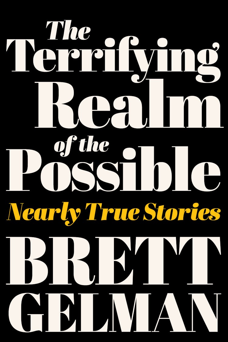 Cover image for The Terrifying Realm Of The Possible: Nearly True Stories, isbn: 9780063315976