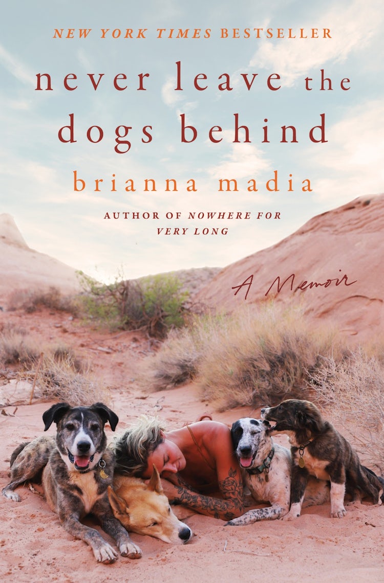 Cover image for Never Leave the Dogs Behind, isbn: 9780063316119