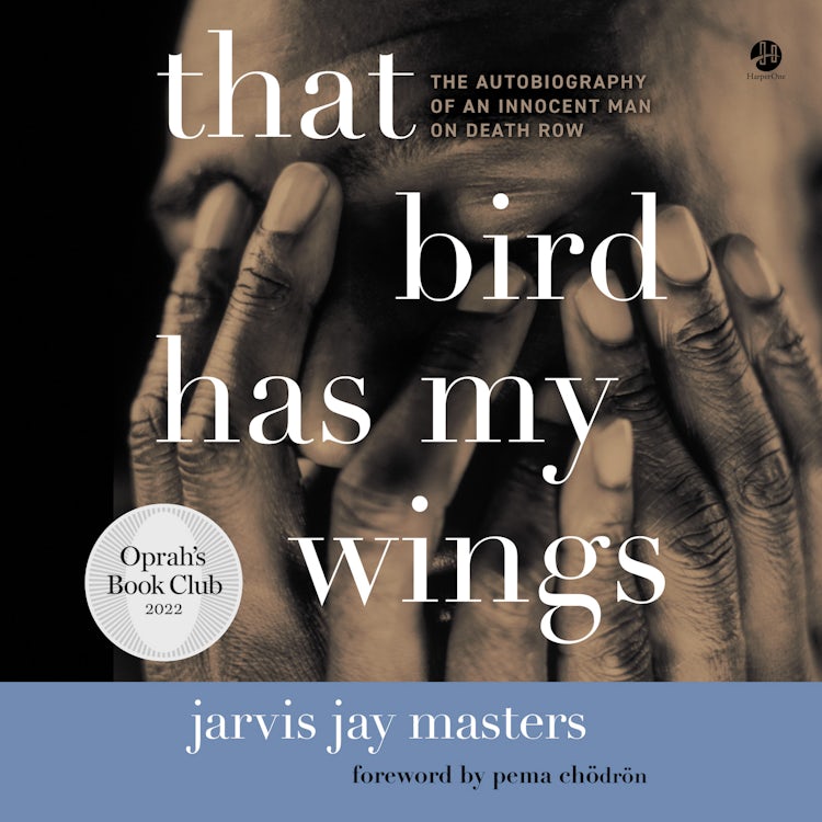 Cover image for That Bird Has My Wings, isbn: 9780063316706
