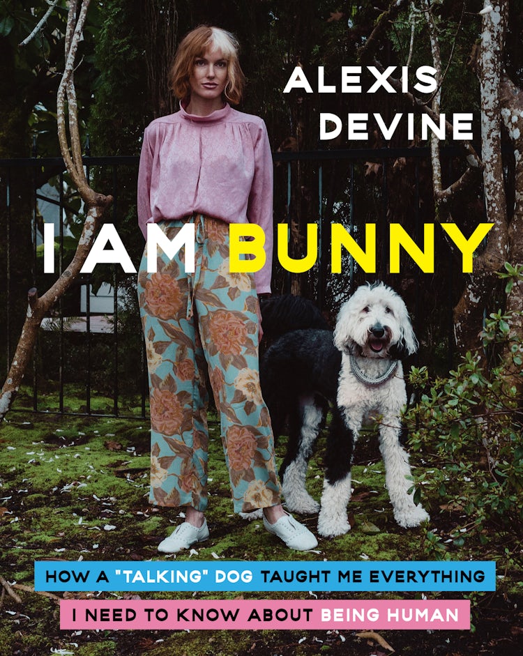 Cover image for I Am Bunny, isbn: 9780063317413