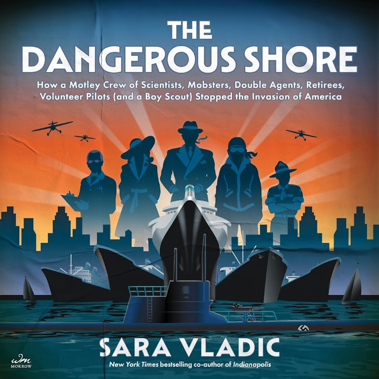 Cover image for The Dangerous Shore, isbn: 9780063321076