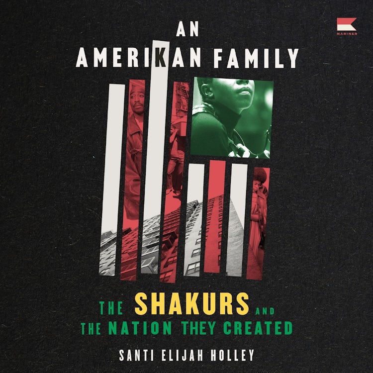 Cover image for An Amerikan Family, isbn: 9780063321595