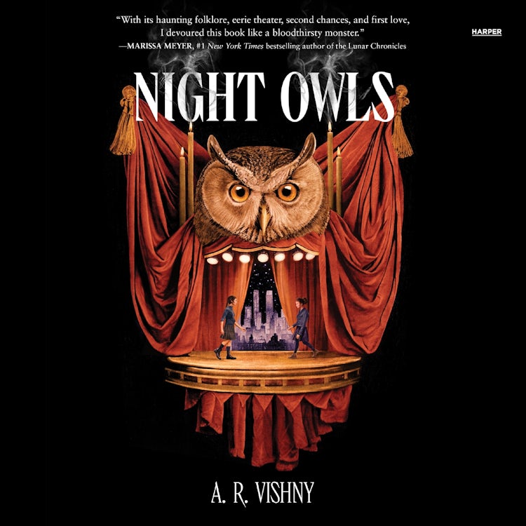 Cover image for Night Owls, isbn: 9780063327337
