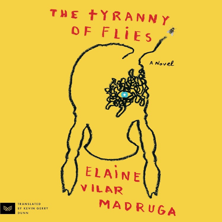 Cover image for The Tyranny of Flies, isbn: 9780063330764