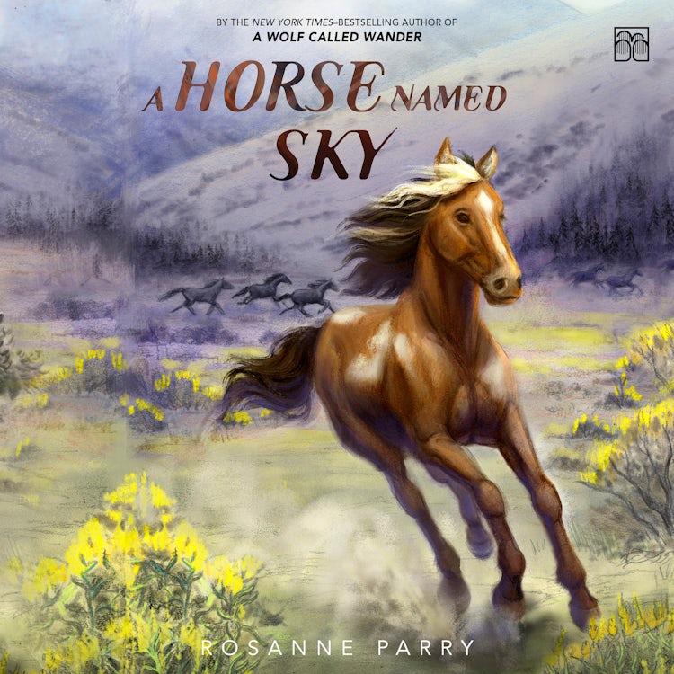 Cover image for A Horse Named Sky, isbn: 9780063336001