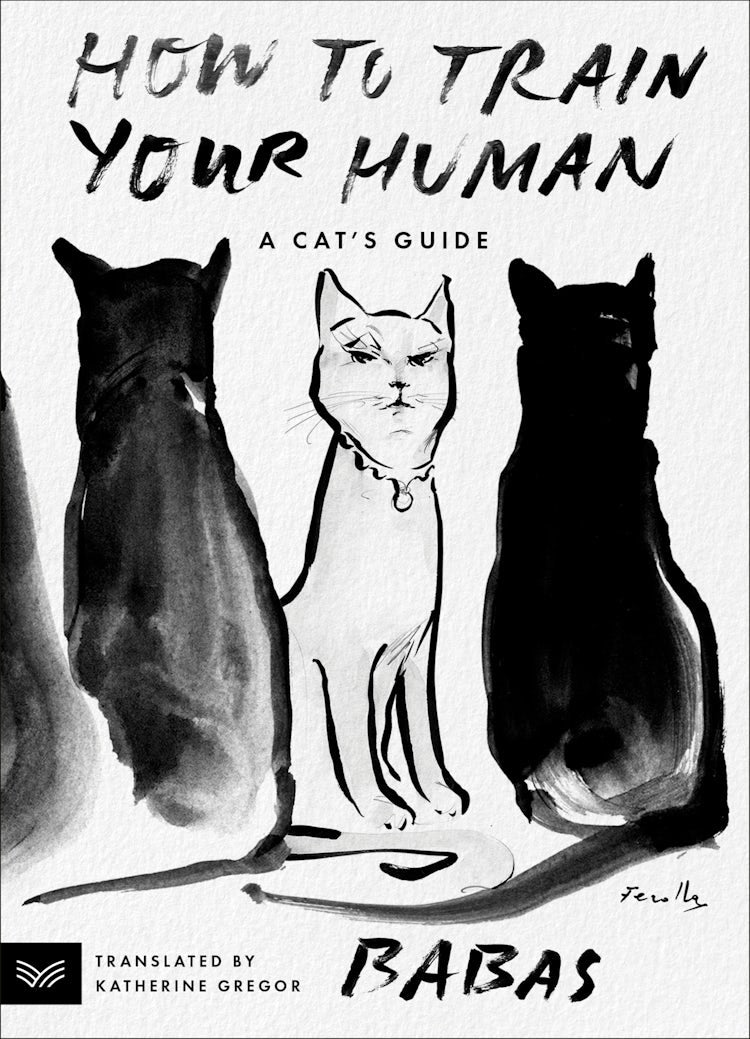 Cover image for How to Train Your Human, isbn: 9780063336490