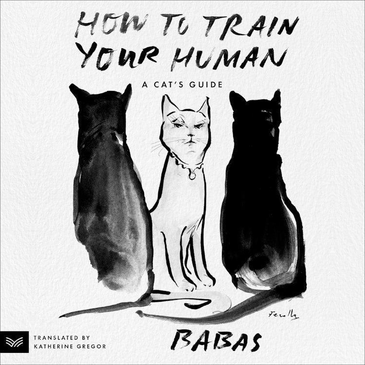 Cover image for How to Train Your Human, isbn: 9780063336506