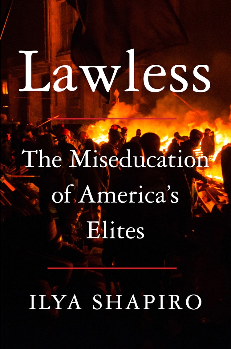 Cover image for Lawless, isbn: 9780063336599