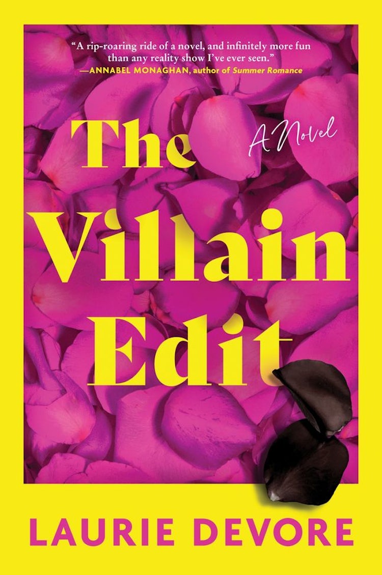 Cover image for The Villain Edit: A Novel, isbn: 9780063337619