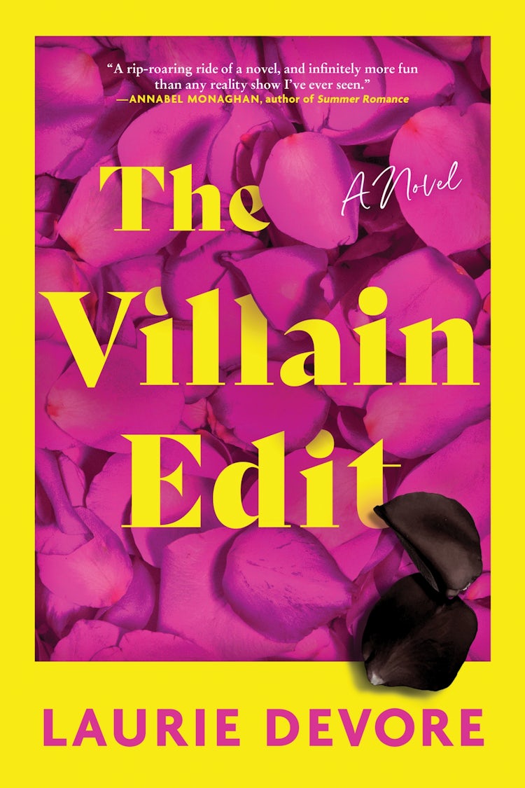 Cover image for The Villain Edit, isbn: 9780063337626