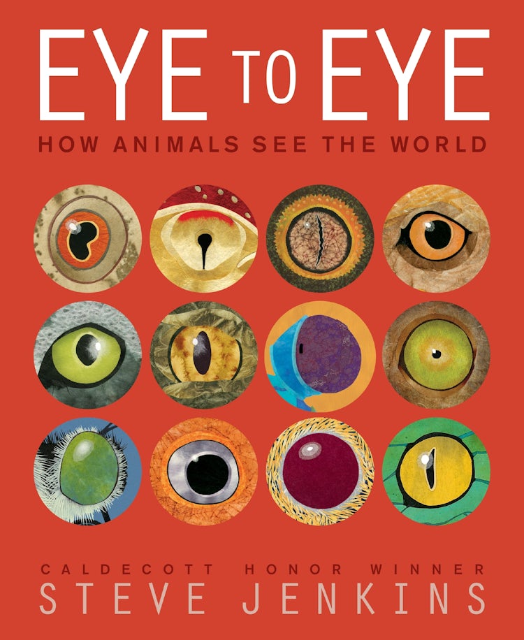 Cover image for Eye To Eye: How Animals See The World, isbn: 9780063341586