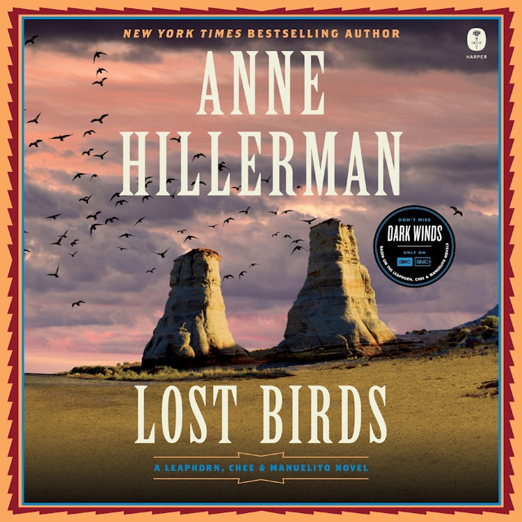 Cover image for Lost Birds, isbn: 9780063344839