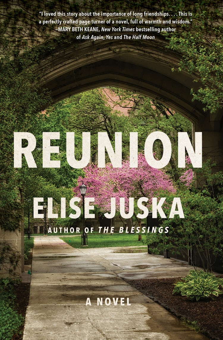Cover image for Reunion, isbn: 9780063346796