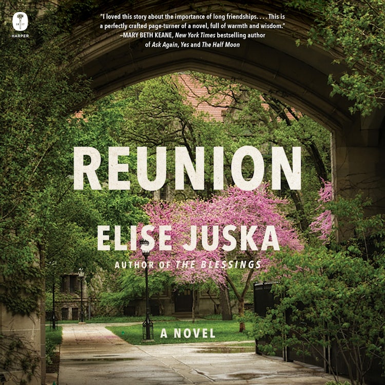Cover image for Reunion, isbn: 9780063346802