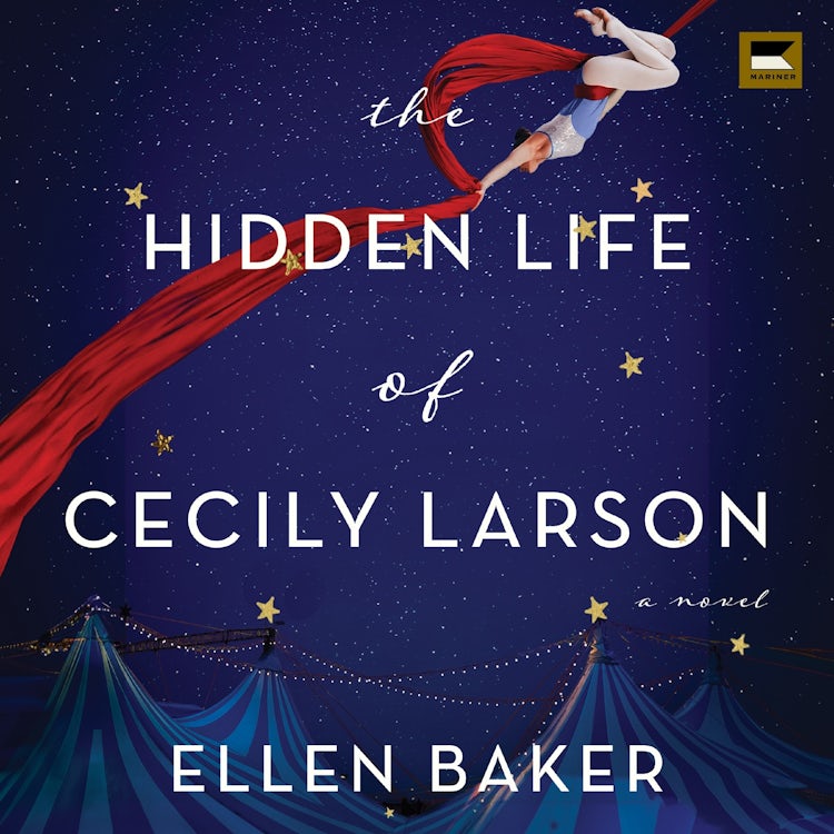 Cover image for The Hidden Life of Cecily Larson, isbn: 9780063351226