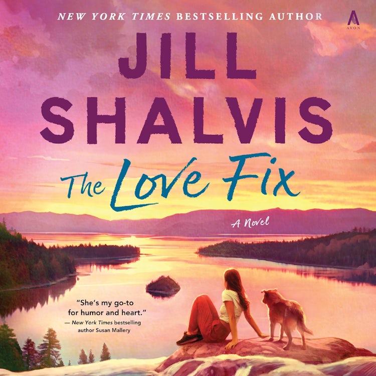 Cover image for The Love Fix, isbn: 9780063353473