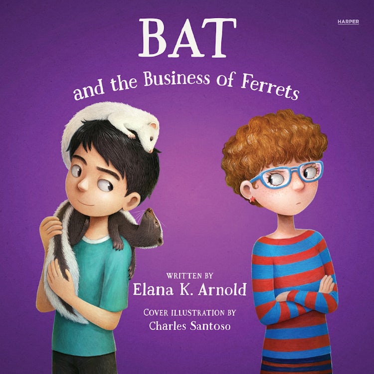 Cover image for Bat and the Business of Ferrets, isbn: 9780063385160