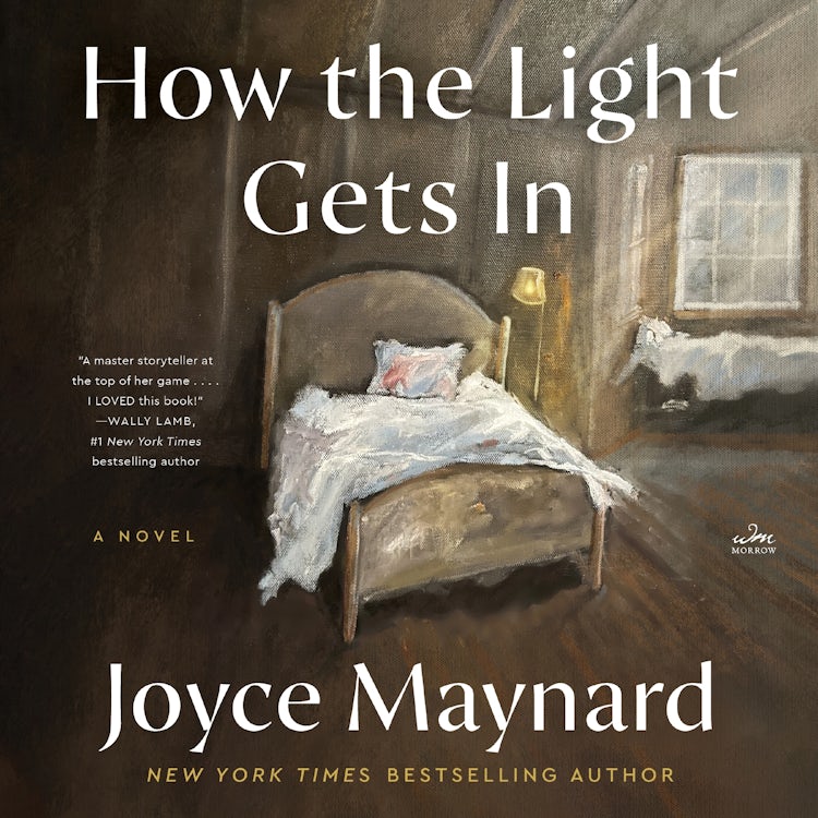 Cover image for How the Light Gets In, isbn: 9780063386082