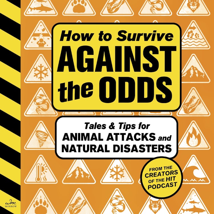 Cover image for How to Survive Against the Odds, isbn: 9780063387171